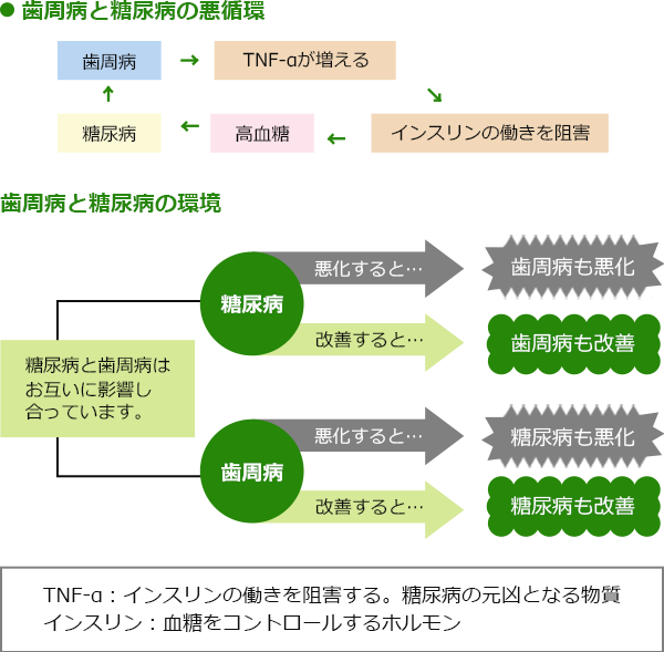 歯周病と糖尿病の悪循環